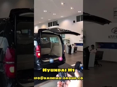 Elevador automático da bagageira de Hyundai H1 com o Polo dobro no mercado de acessórios automotivo global